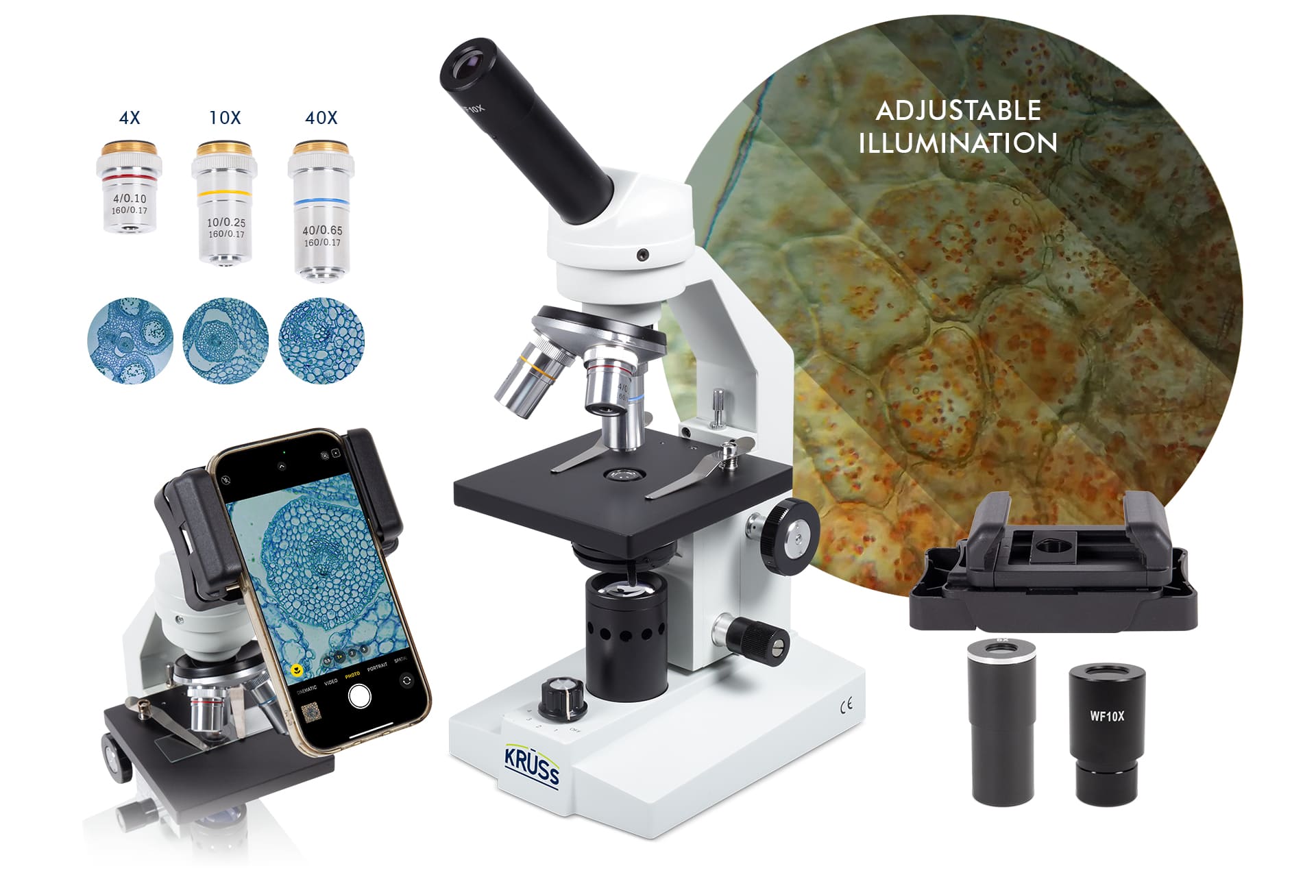 Microscopio monocular MML1300